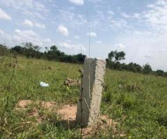 Highly recommend land for sale at AFIENYA ODUMSE called or Whatsapp +233245534900 