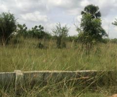 Highly recommend land for sale at AFIENYA ODUMSE called or Whatsapp +233245534900  - Image 4