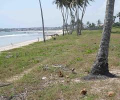 28 plots of beach front lands FOR SALE - Image 4