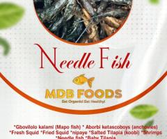 Needle fish