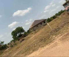 Afienya Odumse Estate Land For Sale(Call or Whatsapp 0593719862) - Image 3