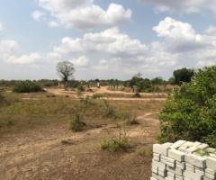 Afienya -Odumse Land For Sale(100% Genuine) - Image 3