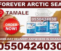 Forever Arctic Sea in Tamale - Image 2