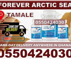 Forever Arctic Sea in Tamale - Image 4