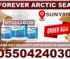 Forever Arctic Sea in Sunyani
