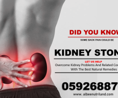 REMEDIES FOR KIDNEY INFECTIONS IN GHANA