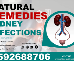 REMEDIES FOR KIDNEY PROBLEMS IN GHANA