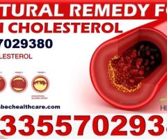 Natural Solution for  High Blood Cholesterol in Ghana Accra Kumasi Tamale - Image 1