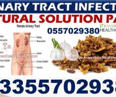 Natural Solution for  UTI in Ghana Accra Kumasi Tamale - Image 2