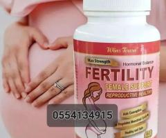 Female Fertility Tablet - Image 1