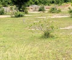 Afienya fast developing residential lands for sale