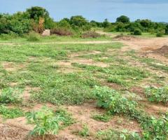 Afienya fast developing residential lands for sale - Image 3