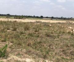 Dawa affordable lands with legal titles for sale - Image 3