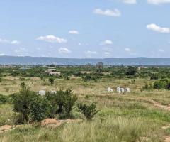 Afienya (Mobole) Affordable Estate Lands for Sale