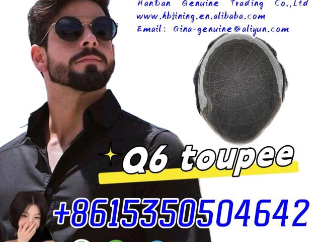 Q6 Lace Toupee Men Indian Human Hair Male Wig whatsapp+8615350504642
