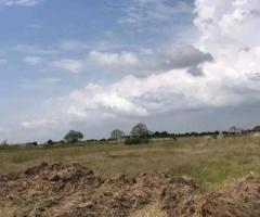 Solid Land Investment~Aburi Kitase