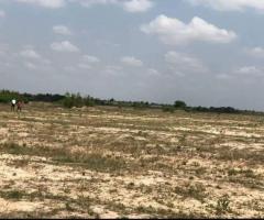 Dawa genuine lands for sale. No litigation - Image 4