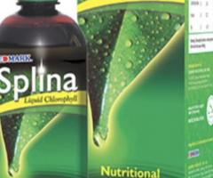 Edmark Splina Liquid Chlorophyll - Image 1