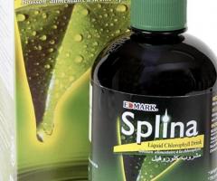 Edmark Splina Liquid Chlorophyll - Image 2