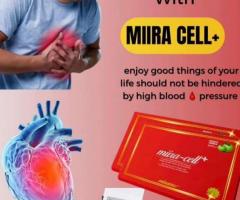 Stemcellstherapy Miracell