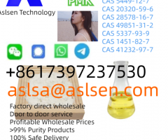 China Factory Sell with Fast Delivery BMK Glycidic Acid CAS 5449-12-7