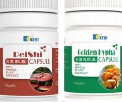 Best Immune Support - KEDI RESHI & GOLDEN HYPHA - Image 4