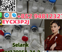 Peptides Selank CAS129954–34–3 Factory Direct Supply HIGH PURITY