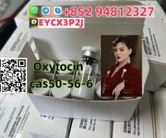 Oxytocin Acetate Salt cas50-56-6 High Purity Hot Sell Peptide