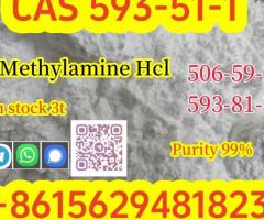 Buy High Quality CAS 593-51-1 Methylamine Hydrochloride at Best Price