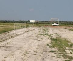 Gated Estate Land For Sale at tsopoli - Image 2