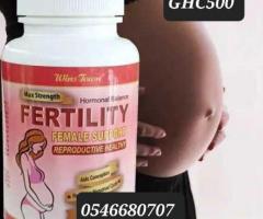 Female Fertility Support - Image 1