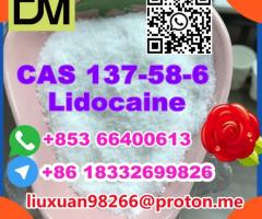 Manufacturer Supply Raw Material CAS 137-58-6 Lidocaine