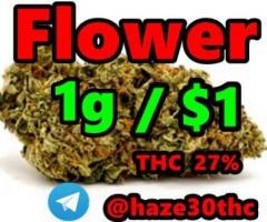 Indica, Sativa, Jet Fuel Gelato, White Widow, Zkittlez,