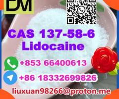 Manufacturer Supply Raw Material CAS 137-58-6 Lidocaine - Image 3