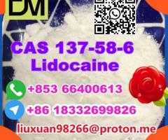 Manufacturer Supply Raw Material CAS 137-58-6 Lidocaine - Image 4