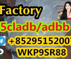 5cladb 5F-ADB Raw Materials, 5cladb, ADB-BINACA, 5cladba, 5cl-adb