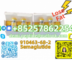 Semaglutide CAS 910463-68-2 Manufacturers Suppliers Factory - Image 2